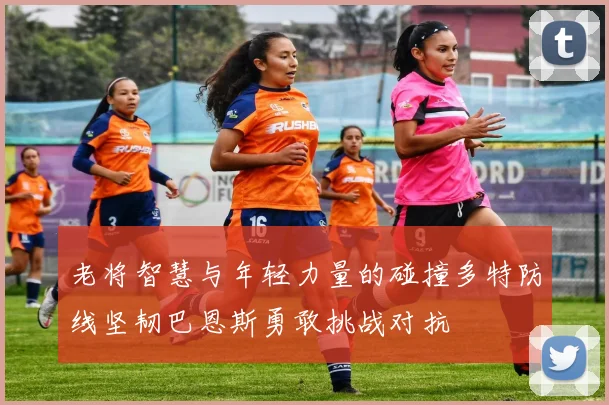 老将智慧与年轻力量的碰撞多特防线坚韧巴恩斯勇敢挑战对抗