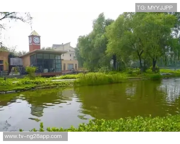 小桥背靠背谈心态调整放下当下结果为明天比赛全力以赴